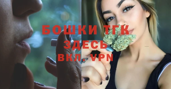 ешки Алексин