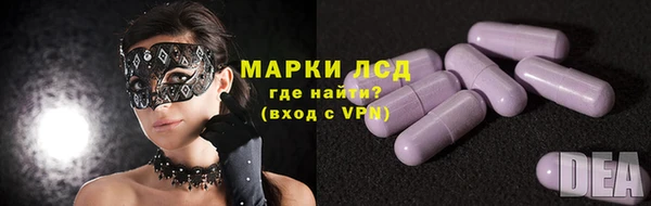 сатива Алзамай