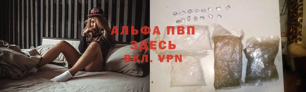 сатива Алзамай