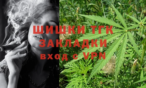 гашик Михайлов