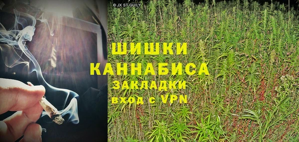 сатива Алзамай